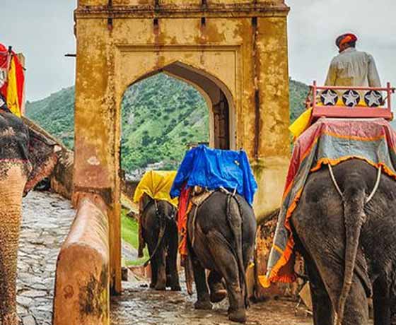 Book Rajasthan Holiday Packages